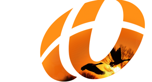Logo of Wegagen Bank